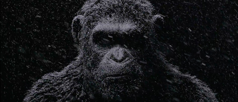 War for the Planet of the Apes clip