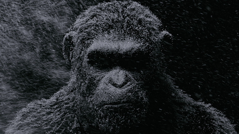 War for the Planet of the Apes teaser