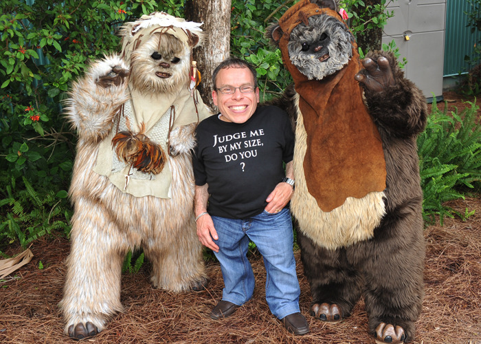 Warwick Davis Star Wars 7