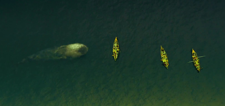 In the heart of clearance the sea trailer