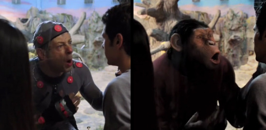rise of the planet of the apes free rise of the planet of the apes free