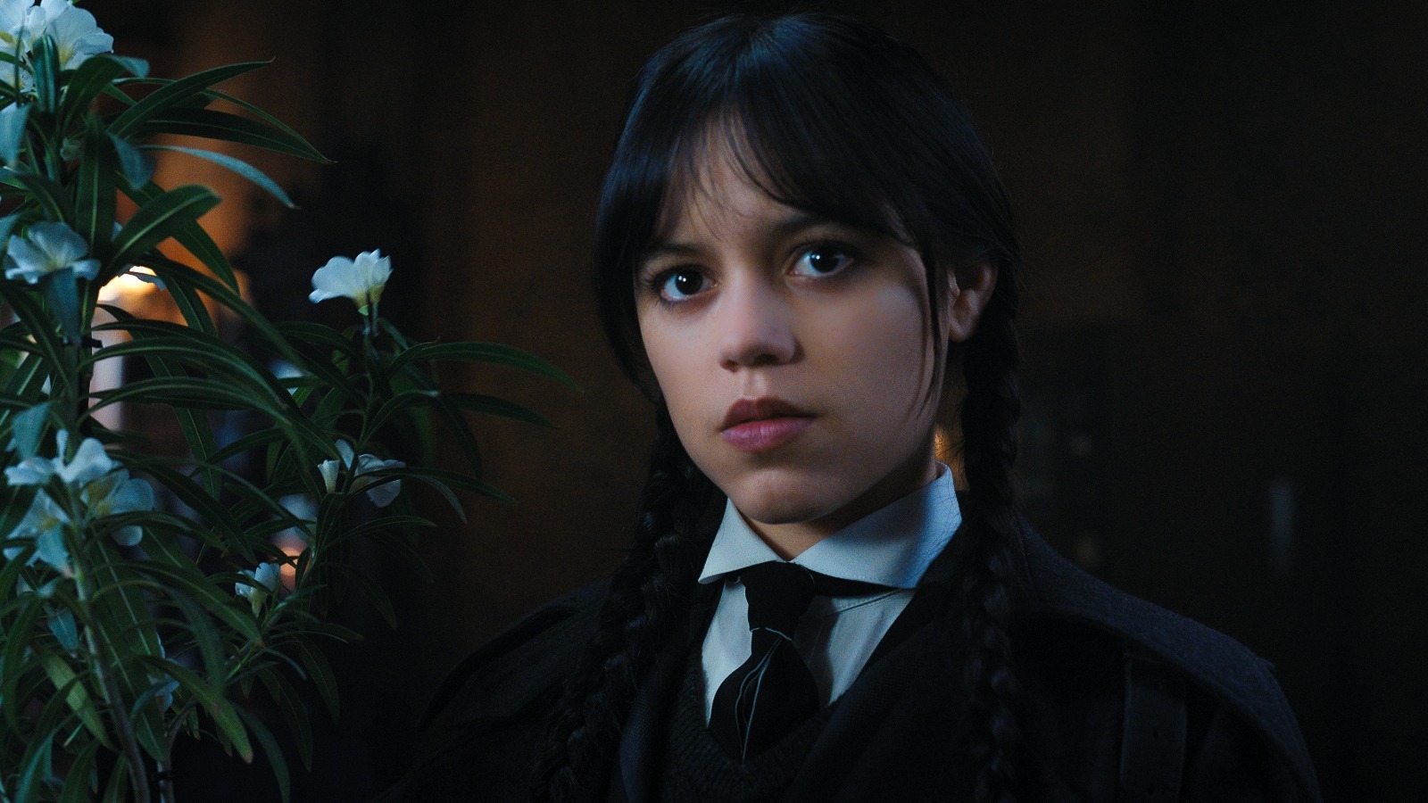 Wednesday Addams for your profile, from Netflix Wednesday, HD