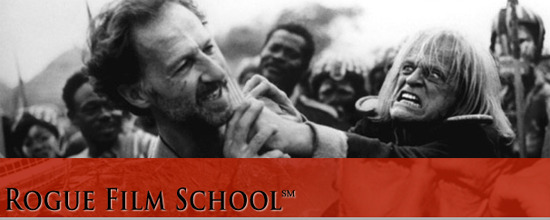 herzog_rogue_film_school