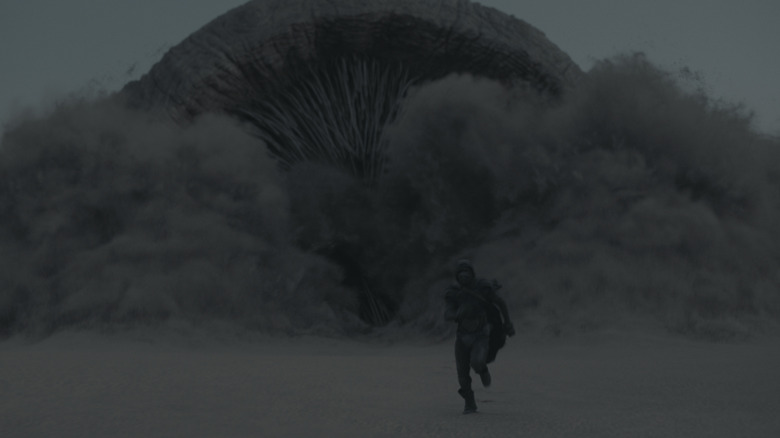Dune sandworm