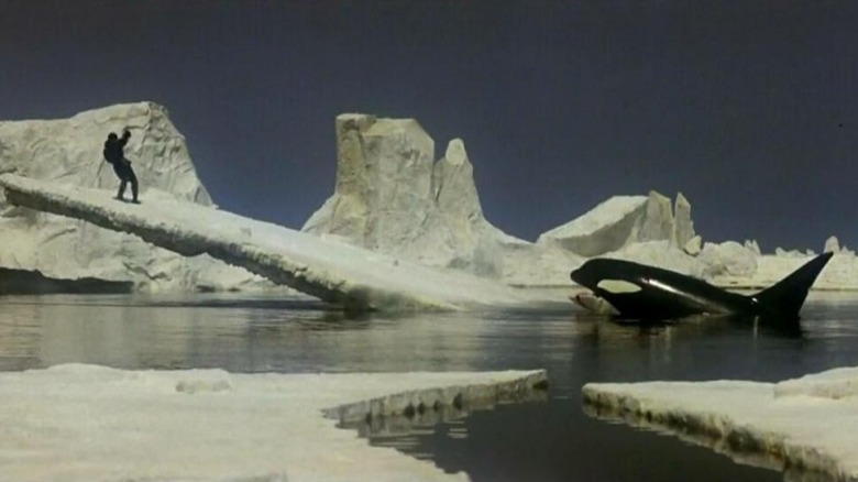 Richard Harris faces off against the whale in Orca