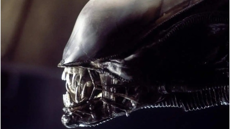 Alien Xenomorph head