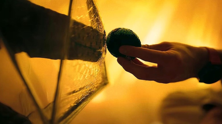 ராக்கியும் கிரேஸும் செனோனைட் மூலம் ஒரு ஹேக்கி சாக்கை பரிமாறிக் கொள்கிறார்கள்