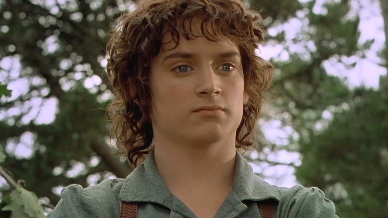 Frodo speaks to Gandalf after he visits the Shire in The Fellowship of the Ring