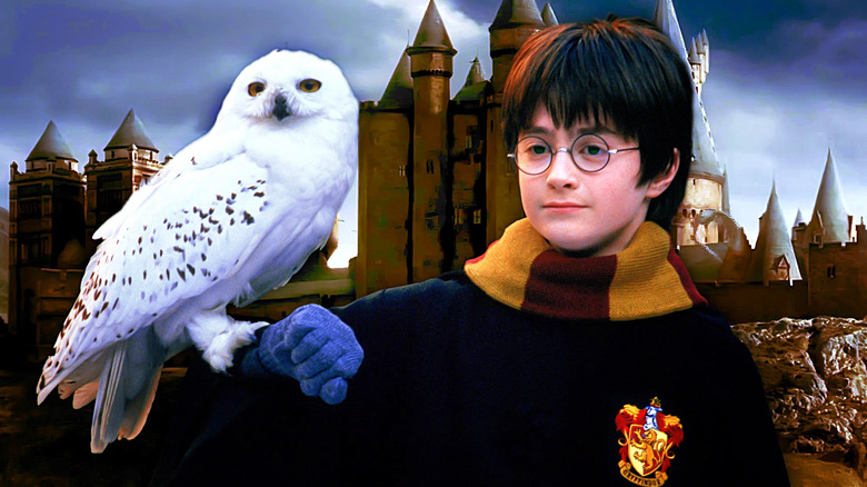Harry holding Hedwig in front of Hogwarts in Harry Potter