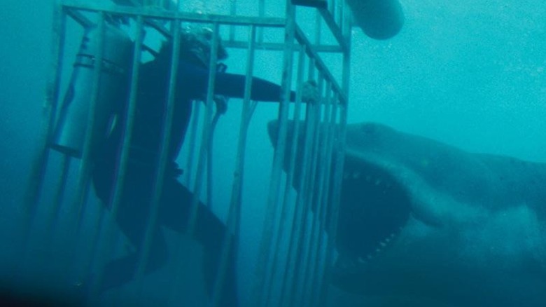 Hooper in the shark cage as the shark moves in for bite in Jaws