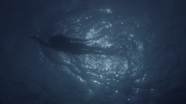 Chrissie swimming at night, seen from underwater, in Jaws