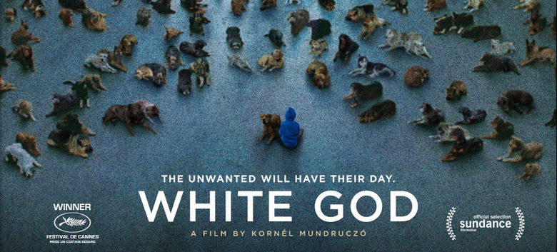 White God trailer