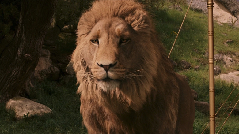 Aslan standing next to a tent in The Chronicles of Narnia: The Lion, the Witch and the Wardrobe