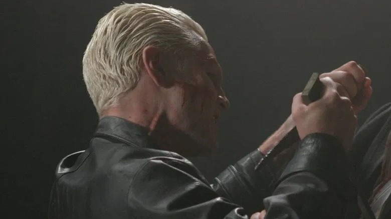 Spike and Angel in Destiny