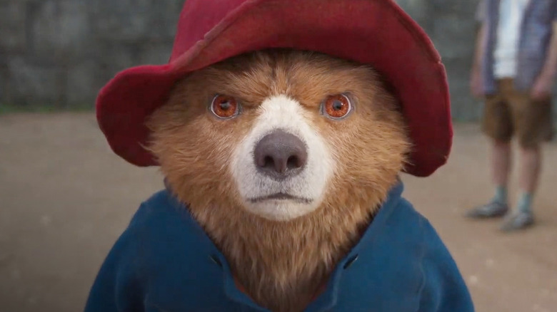 Paddington Bear (Ben Whishaw) stares at the camera in 
