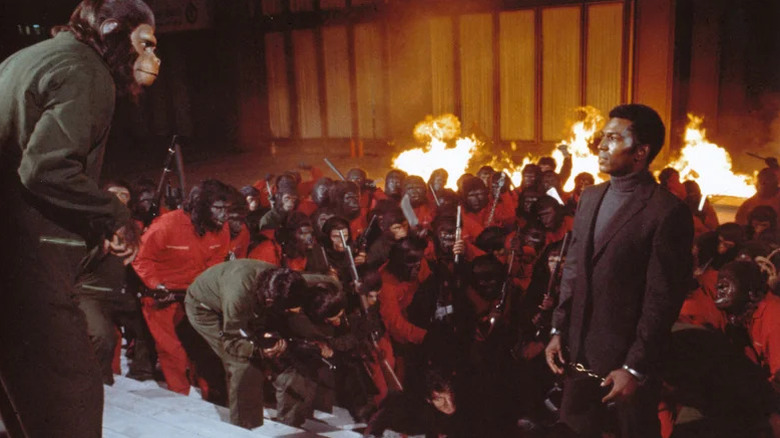 Caesar looking out at a crowd of gorillas, Governor Breck, and Mr. MacDonald in Conquest of the Planet of the Apes
