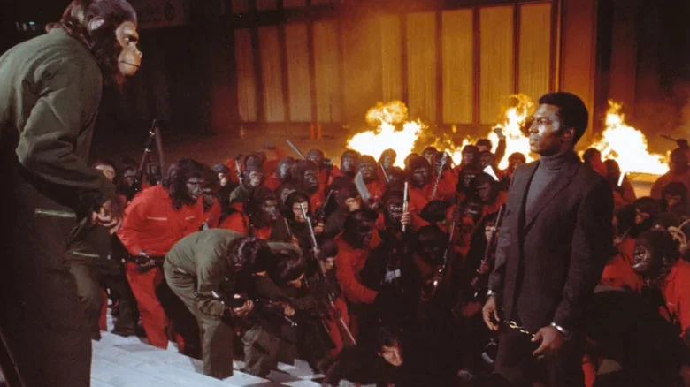 Impact on Film