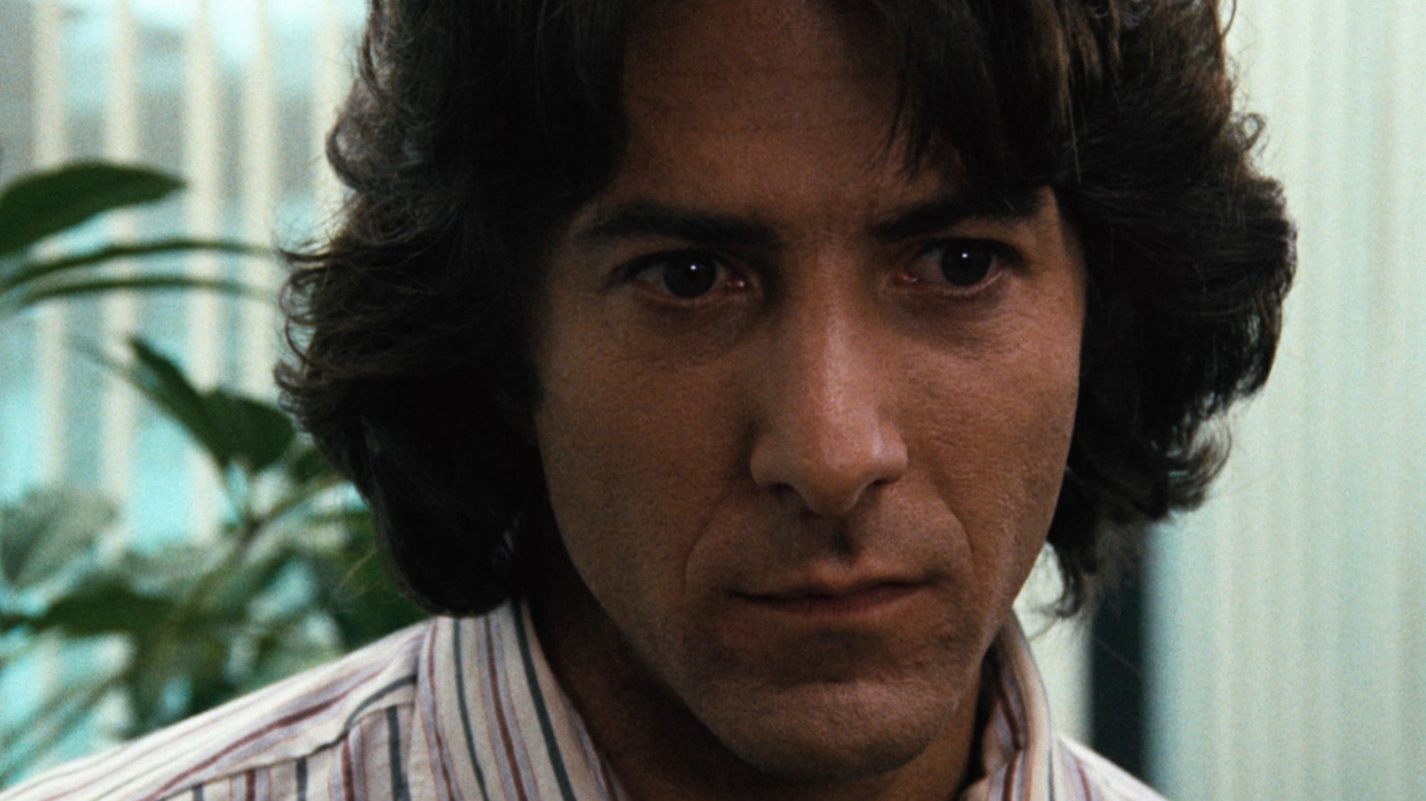Waarom Dustin Hoffman de hoofdrol in de taxichauffeur van Martin Scorsese afwees
