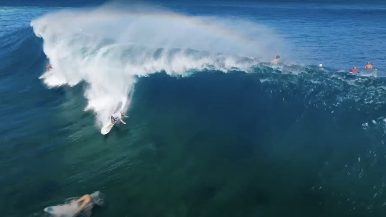 An aerial shot shows surfers riding waves in Rescue HI-Surf