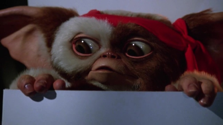 Gizmo looking frightened in Gremlins 2: The New Batch