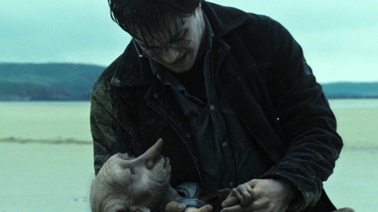 Harry holding Dobby as he dies in Harry Potter and the Deathly Hallows: Part 1