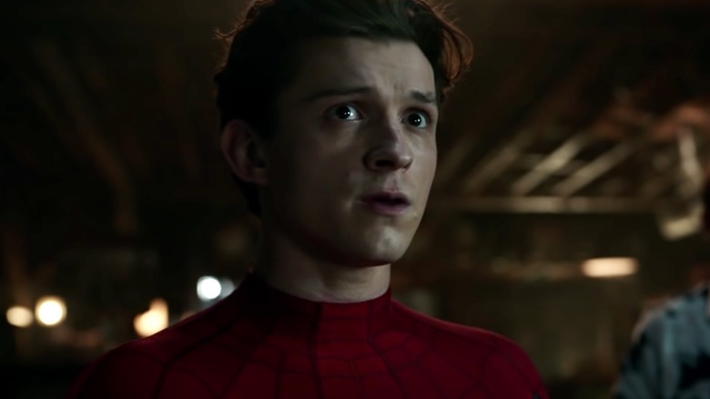 Spider-Man No Way Home Tom Holland