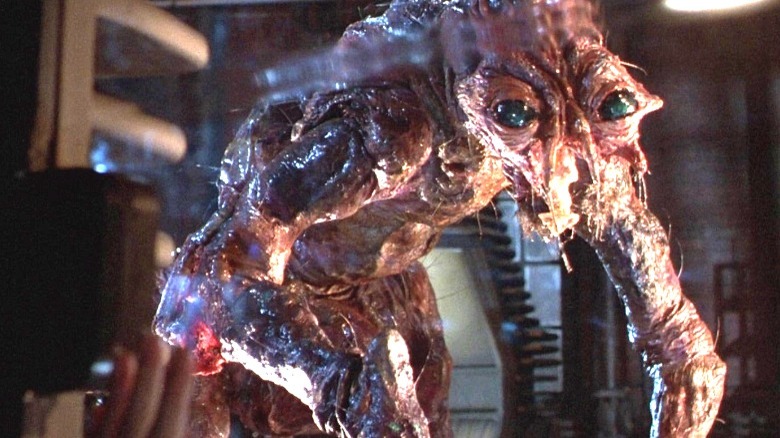 The Fly monster