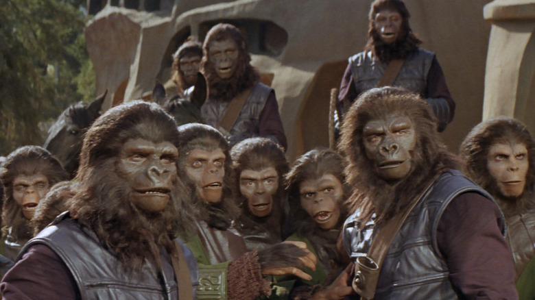 Planet of the Apes Gorilla and Chimp extras