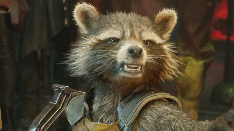 Rocket Raccoon sneering