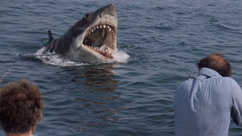 Jaws Great White Shark