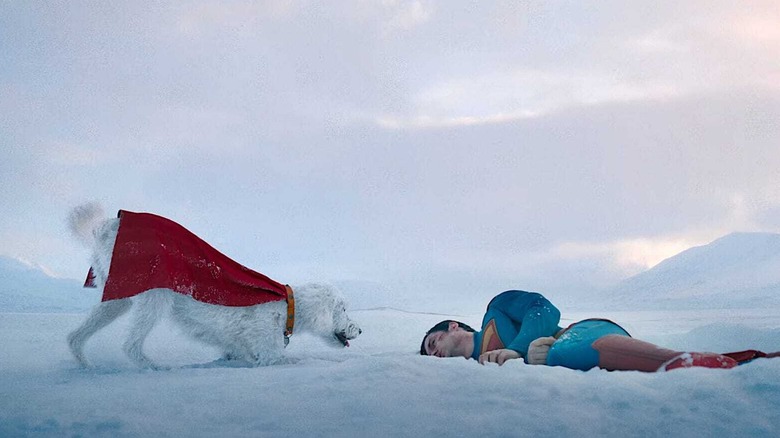David Corenswet as Superman lying in the snow next to Krypto in Superman
