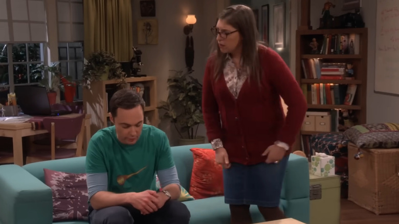 The Big Bang Theory, Sheldon and Amy talking