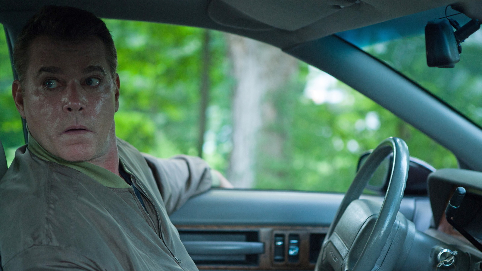 Why The Place Beyond The Pines Director Derek Cianfrances Called Ray Liotta An 'American Treasure'