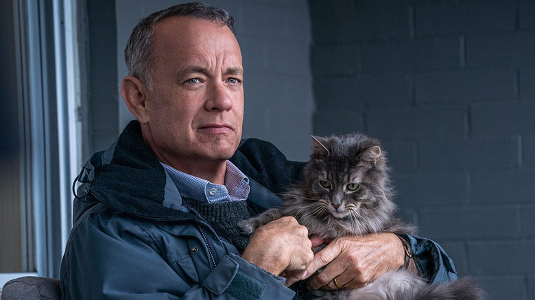 Tom Hanks with a cat in A Man Called Otto