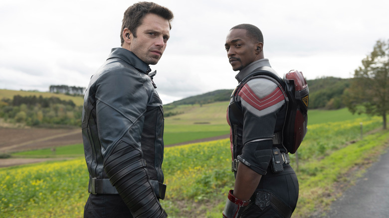 The Falcon and the Winter Soldier