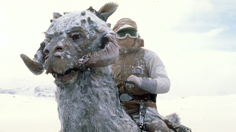 Tauntaun in Star Wars: The Empire Strikes Back