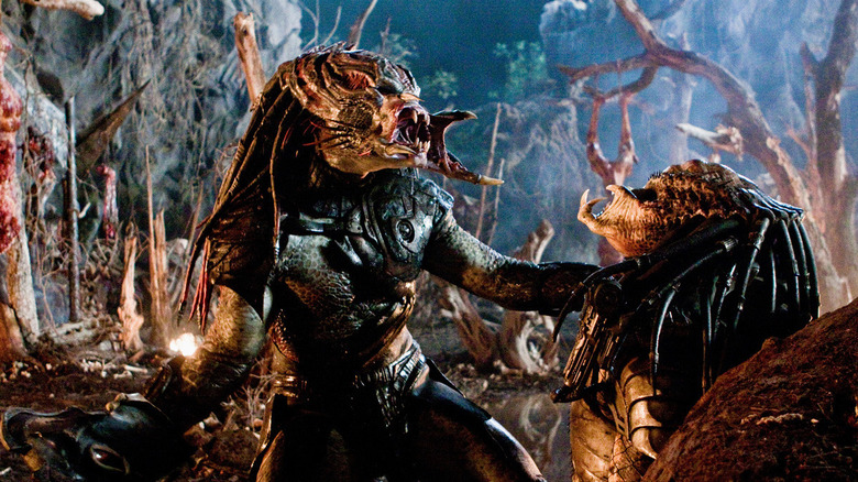 Predators fight