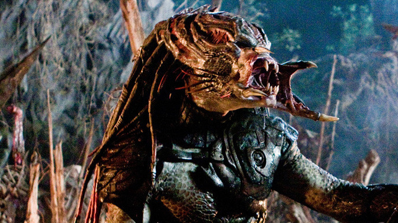 Predators fight