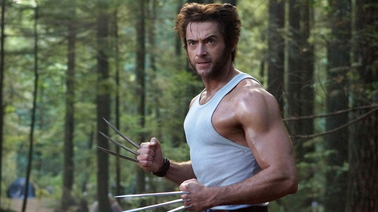 Wolverine with his claws out in a forest