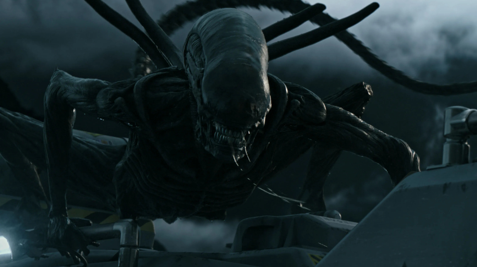 Why Xenomorphs Are Obsessed With Killing Humans