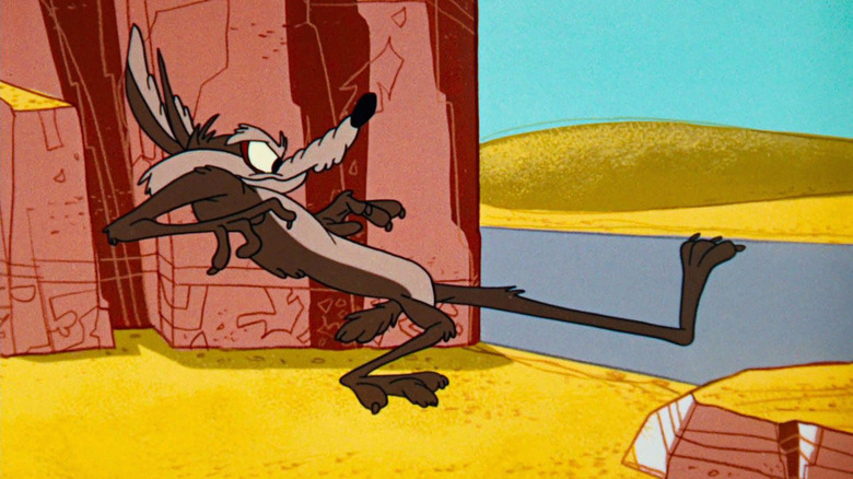Wile E. Coyote in Looney Tunes
