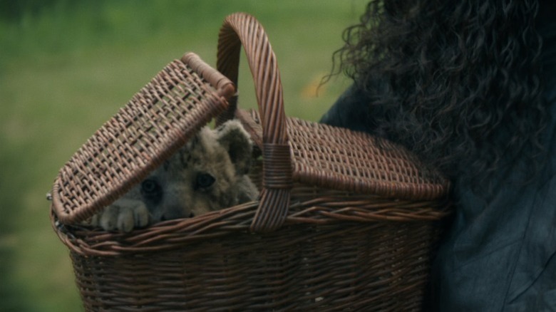 The lion cub in a basket on Elphaba's bike in Wicked: Part One
