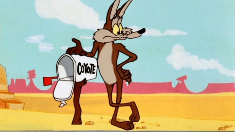 wil e coyote movie