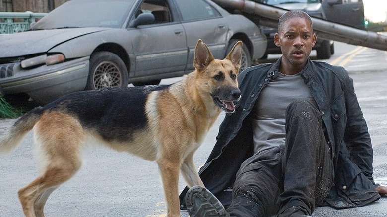 Will Smith in I Am Legend