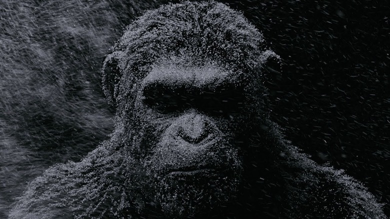War for the Planet of the Apes snow Caesar