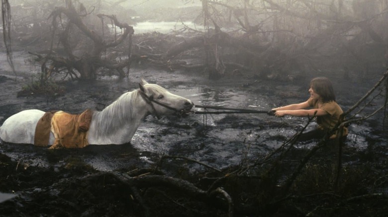 The NeverEnding Story