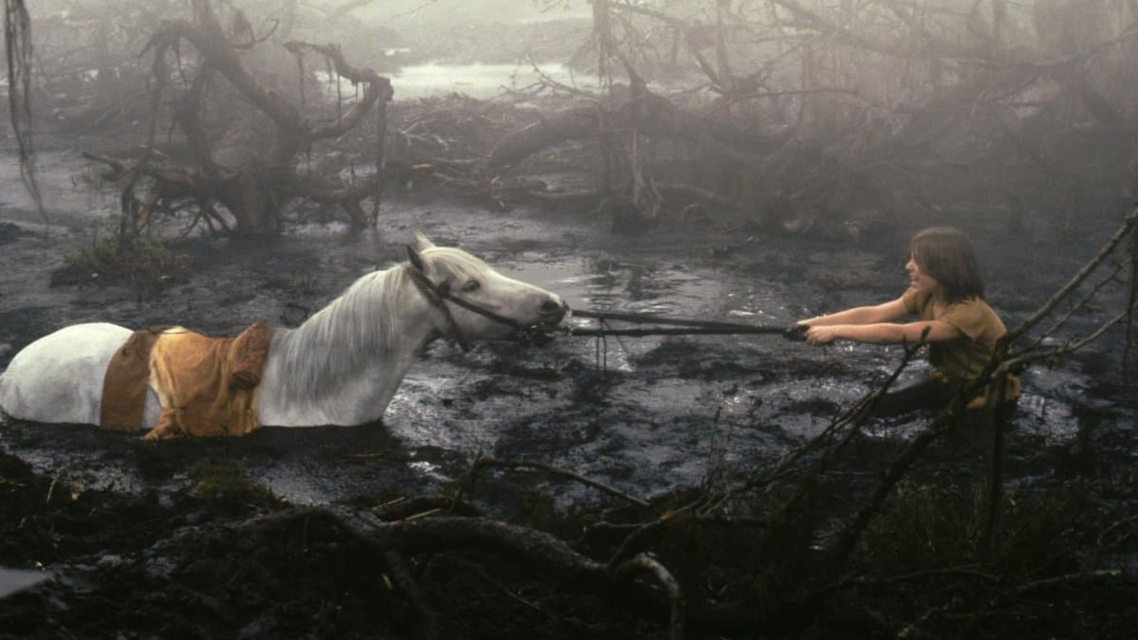 Atreyu and horse planter