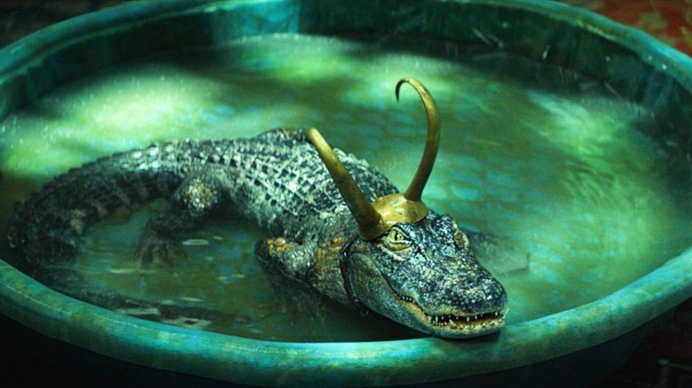 Alligator Loki in a kiddie pool in Loki