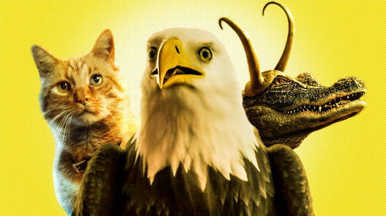 Eagle Goose the Cat Loki the Alligator