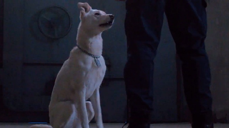 Krypto the Superdog in Titans